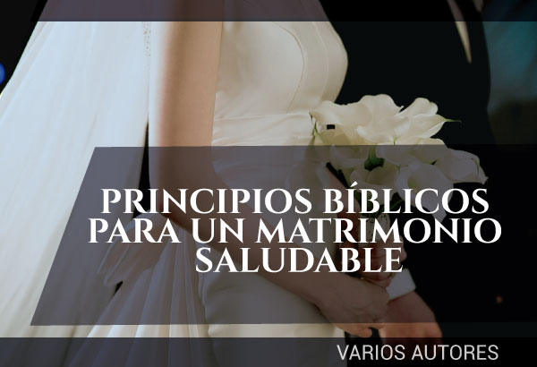 Principios bíblicos para un matrimonio saludable